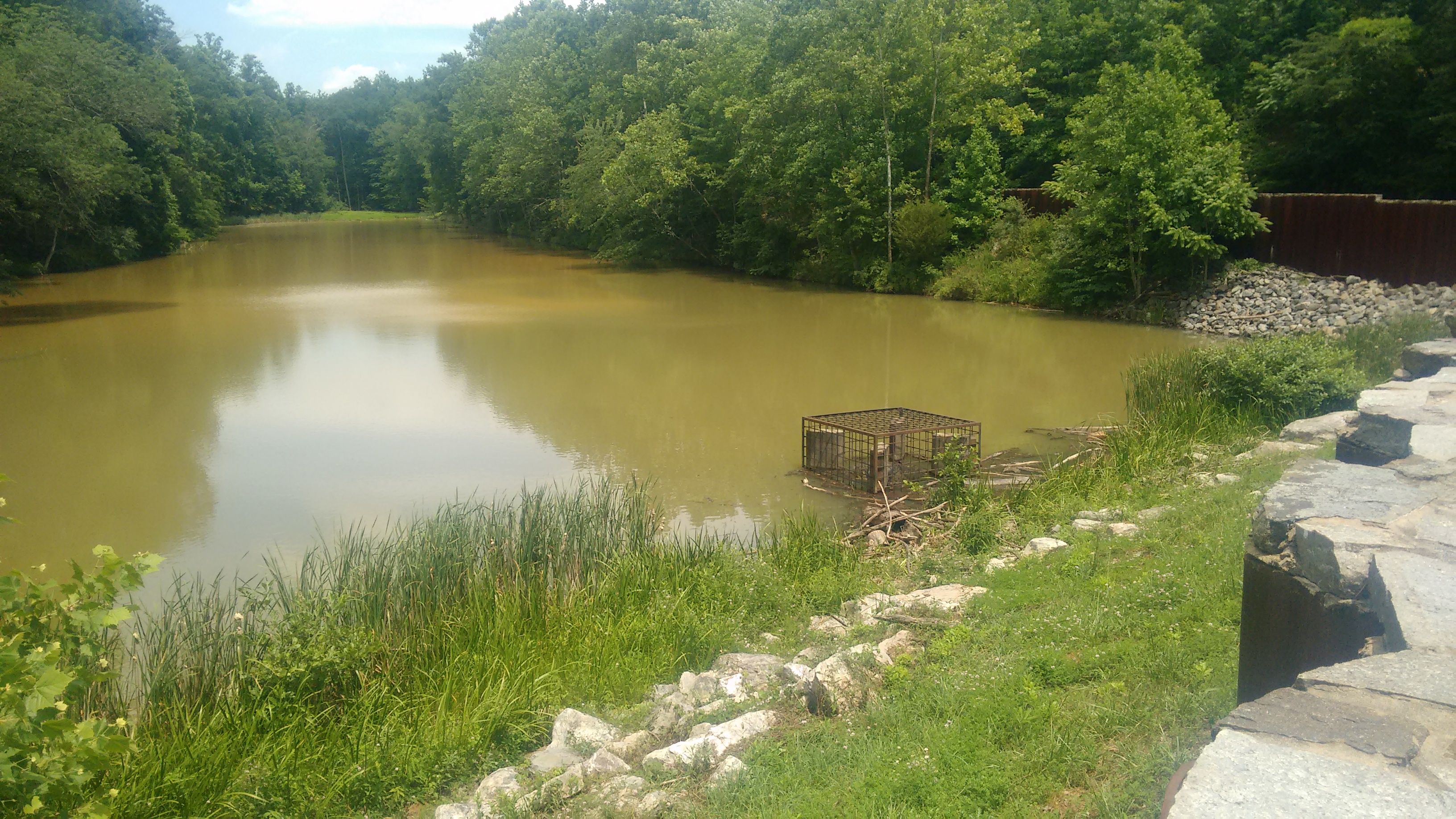 Protecting Lake Linganore Frederick City's drinking water Clean