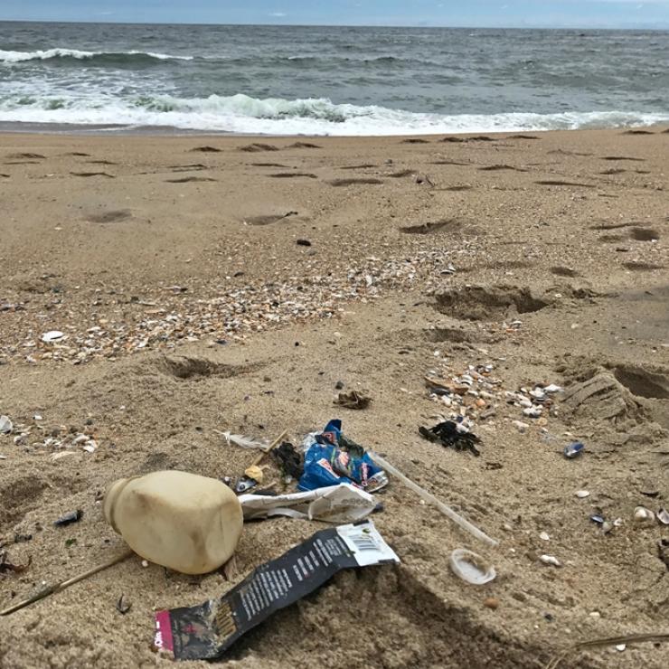 plastic straws on beach image. by jenny vickers chyb..jpg