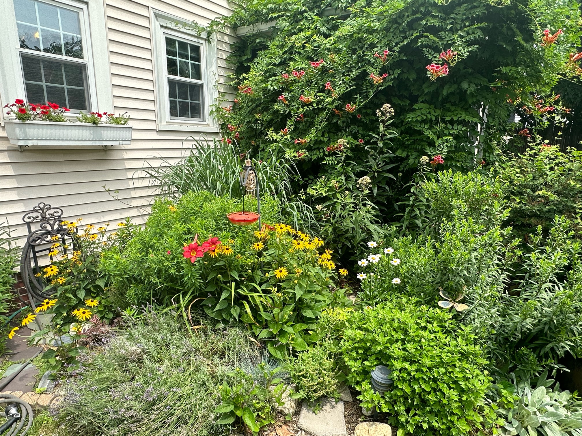 Image of Clean Water Action RI Director Jed Thorp's Garden