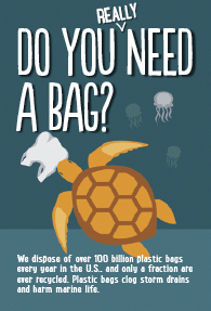 Do you really need a bag?