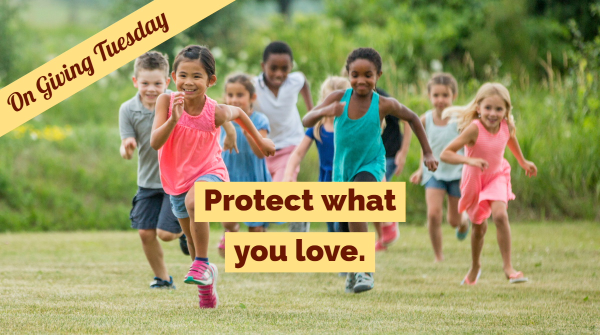 On Giving Tuesday, protect what you love - donate now!