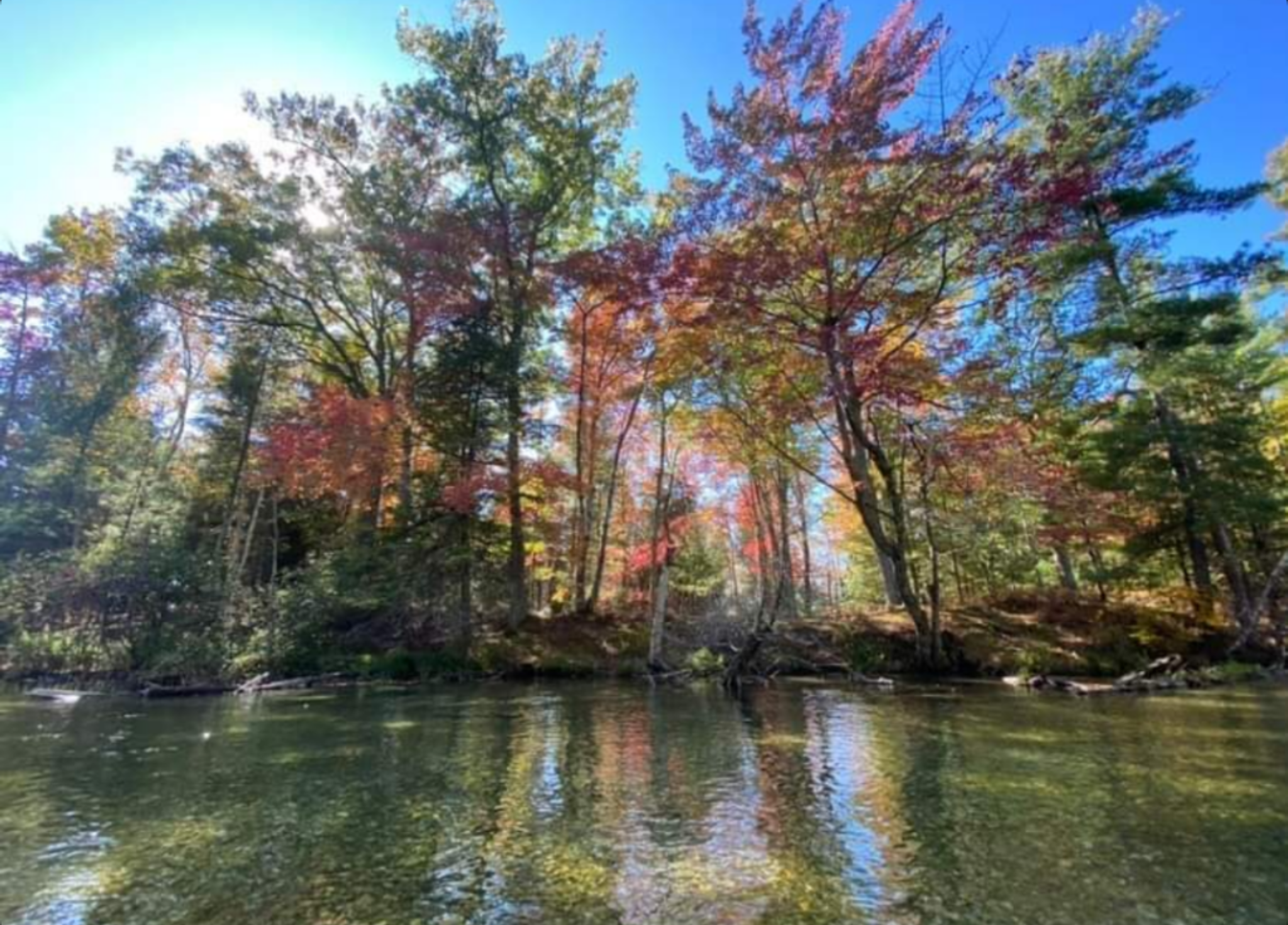 Michigan river reflecting fall leaf colors. Photo:  Audrey Gerard