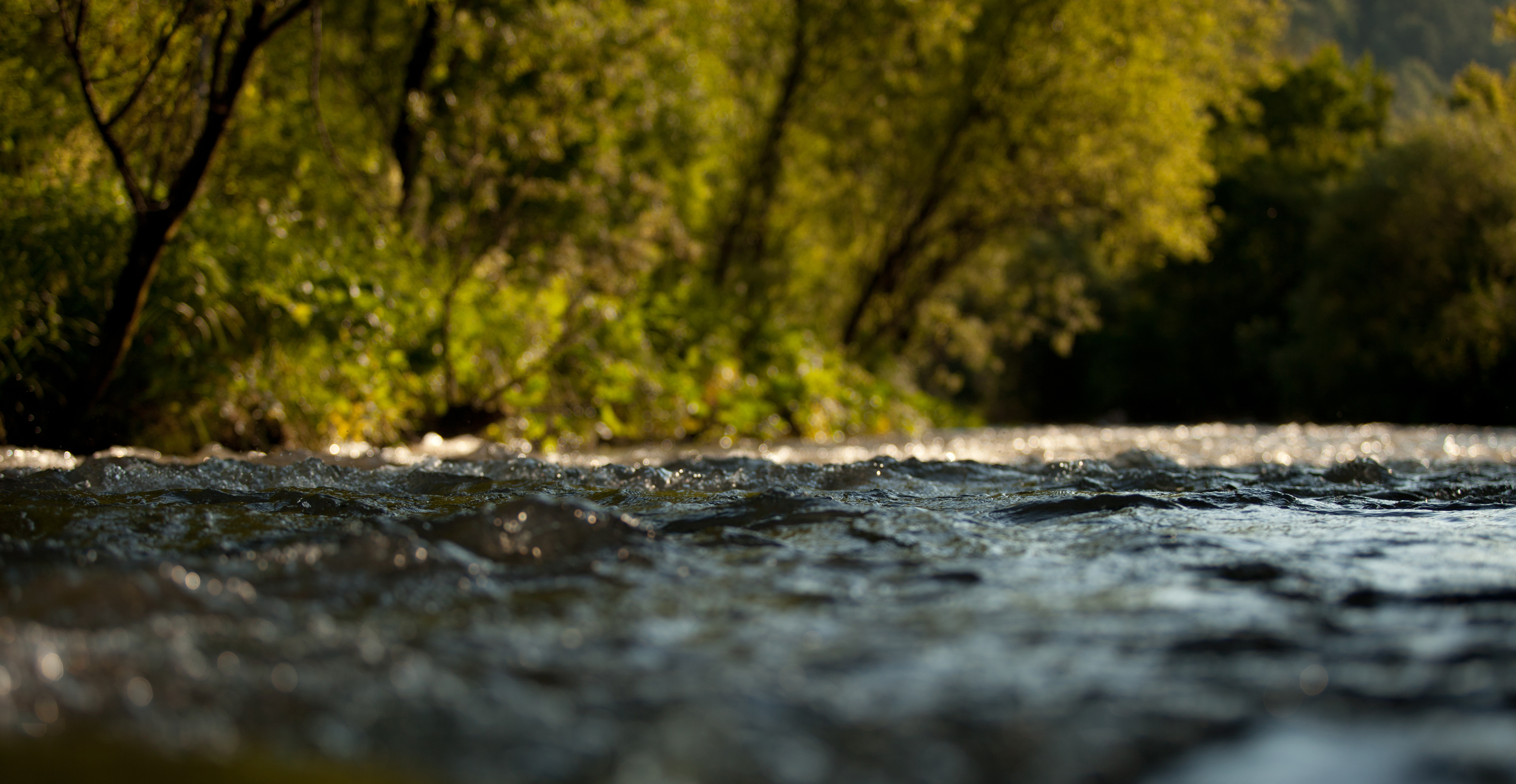 Stream, image from the surface of the water. Photo credit: Olesya Mishkina / Shutterstock