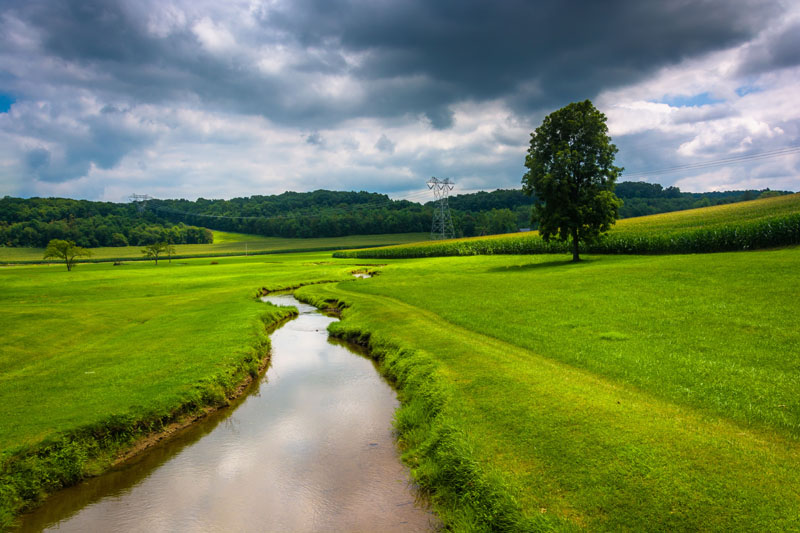Stream in a green field - Carroll County, MD 