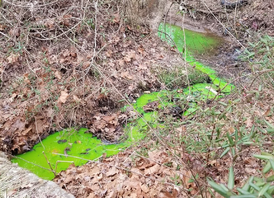 A dye test is used to track the water coming off a septic system. Important information can be determined by a dye test - like how quickly wastewater is flowing through a system or which system is flowing here.