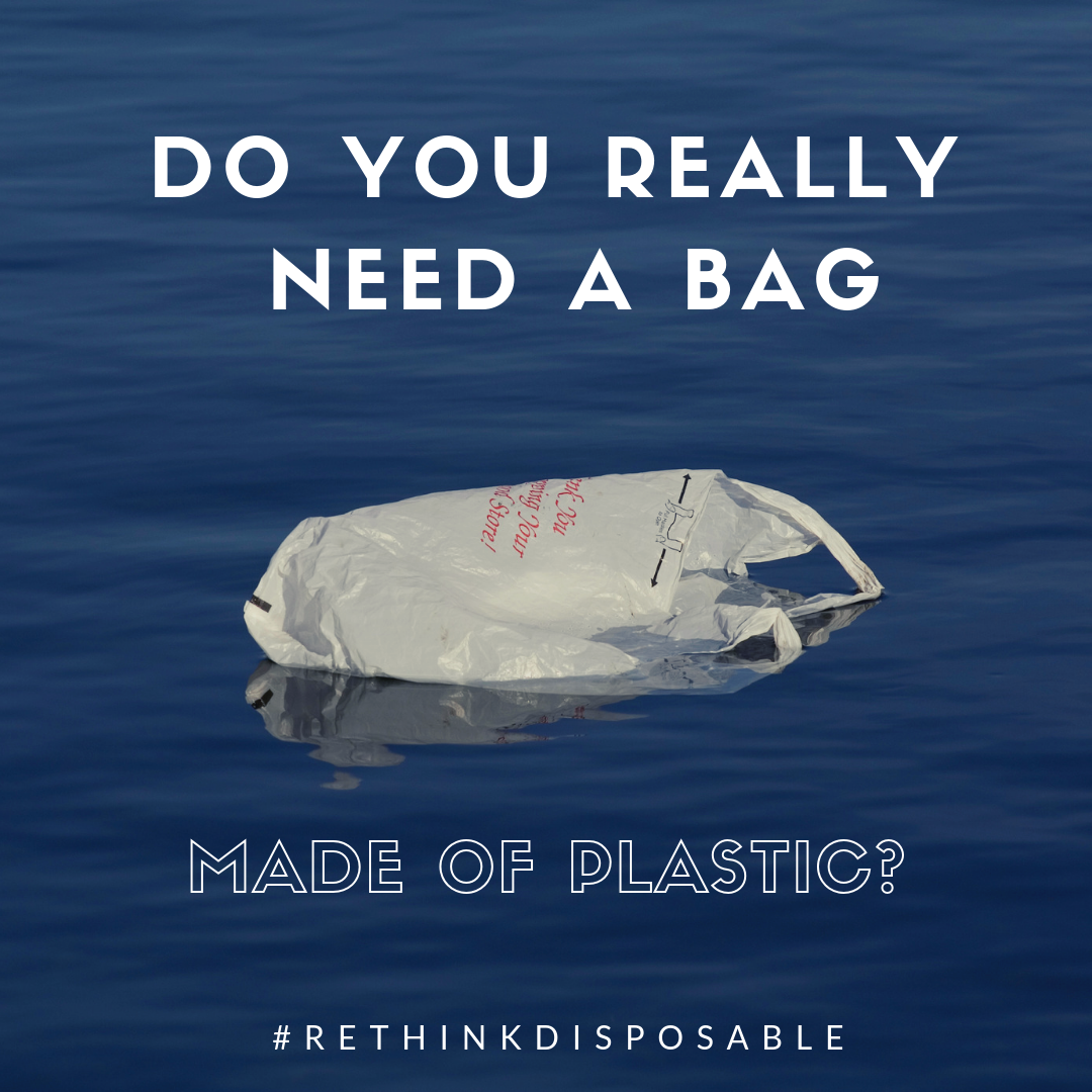 NJ_RethinkDisposable_plastic bag_do you need a bag_canva