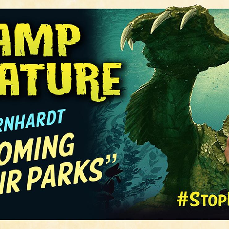 Bernhardt swamp creature poster