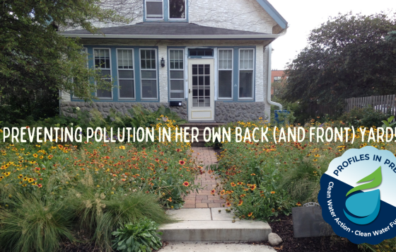 House with native wildflower garden, caption: "Preventing Pollution in her own front (And back!) Yard!)